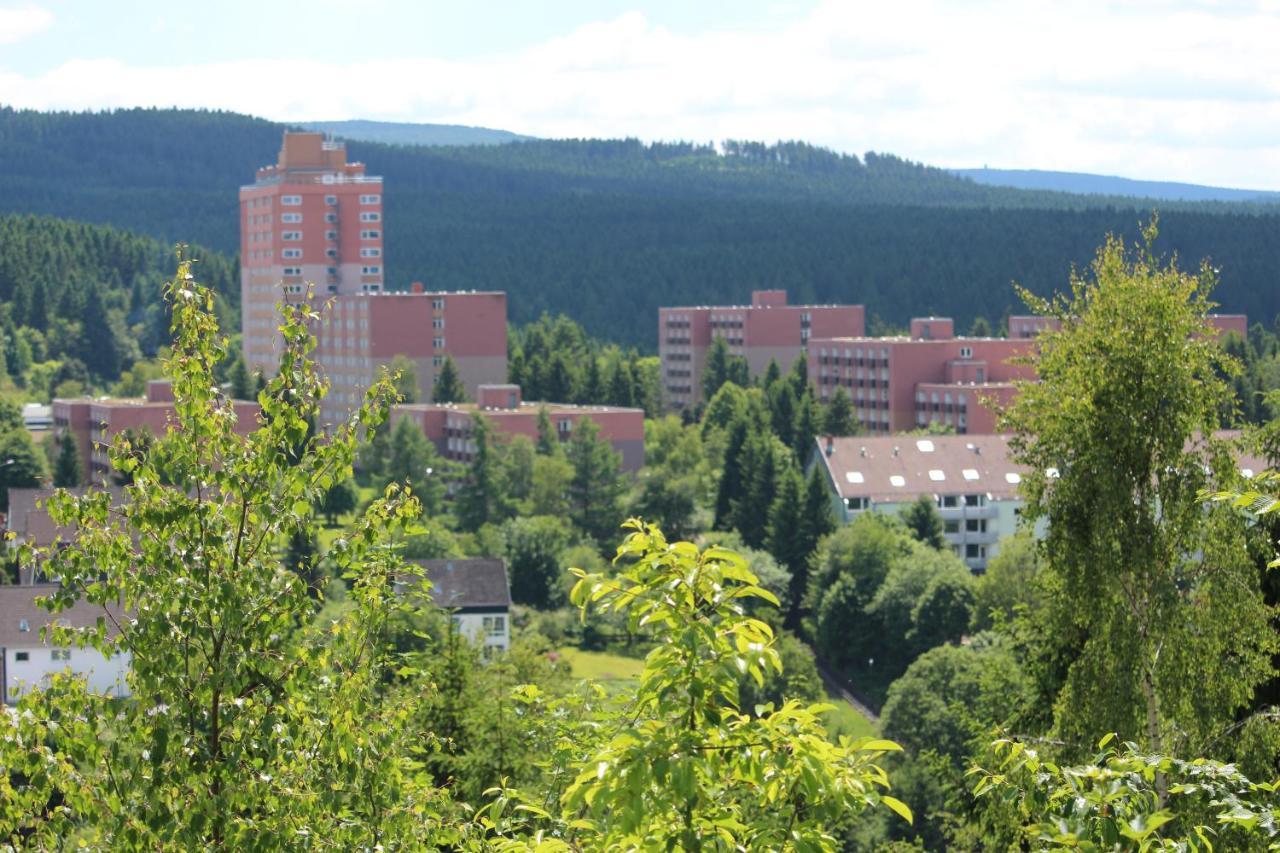 Ferienwohnung Sonnenblick Altenau  Eksteriør bilde